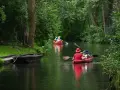 Zwei Kanus auf einem Fluss, umgeben von grünen Bäumen.