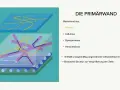 Schematische Darstellung der Primärwand mit Pektinen, Glykoproteinen, Hemicellulose und unregelmäßig angeordneten Cellulosefasern für elastische Zellvergrößerung.