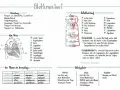 Umfassendes Unterrichtsmaterial für Biologie: Herz und Blutkreislauf