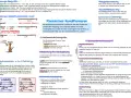Klassisches Konditionieren: Ein neutraler Reiz wird mit einem unbedingten Reiz gekoppelt, um eine gelernte Reaktion auszulösen. Dies ist ein Prozess der Konditionierung.