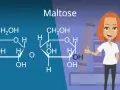 Chemische Struktur von Maltose, einem Disaccharid. Eine lächelnde Frau mit roten Haaren gibt Daumen hoch vor Bücherstapeln.