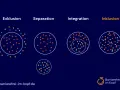 Grafik zeigt Exklusion, Separation, Integration und Inklusion. Inklusion bedeutet, dass alle Punkte gleichberechtigt in einem Kreis sind.