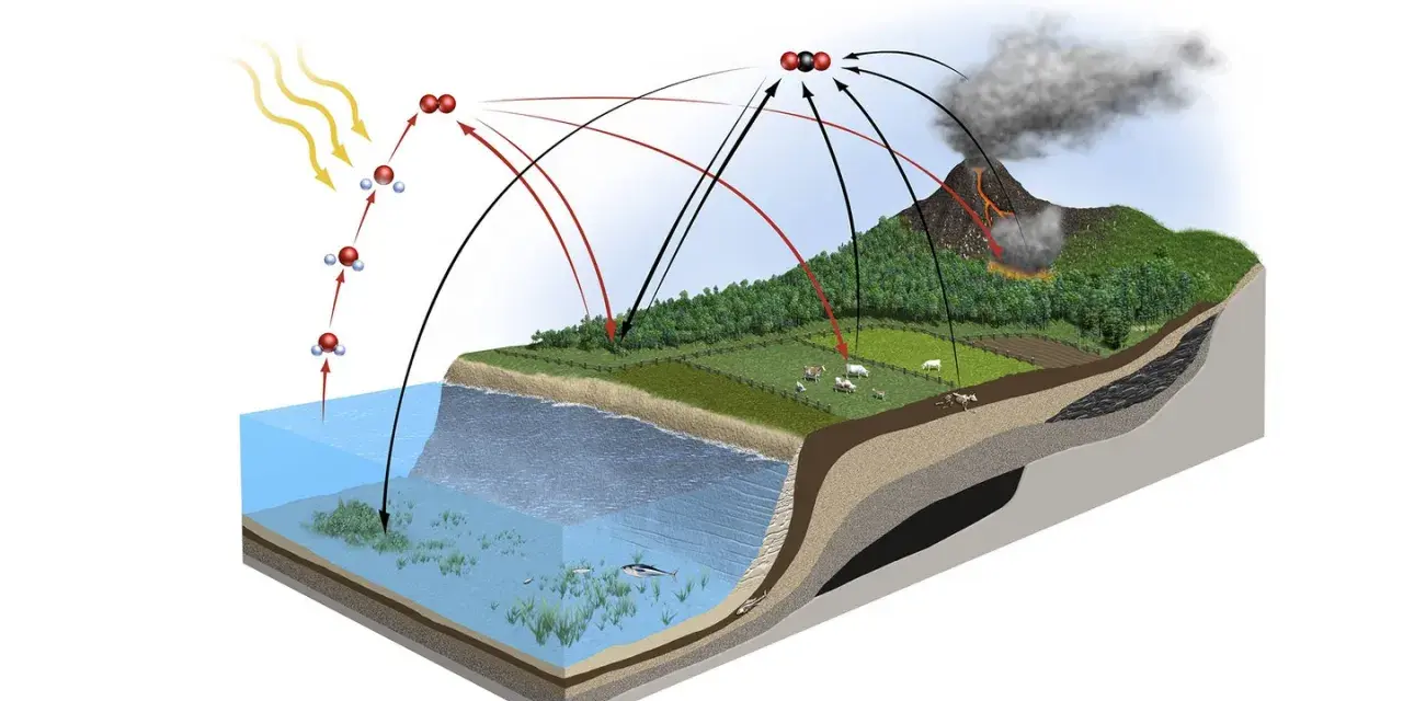 Schematische Darstellung des **Kohlenstoffkreislaufs**: Sonne, Wasser, Pflanzen, Tiere, Vulkan und Kohle zeigen den Austausch von CO2.