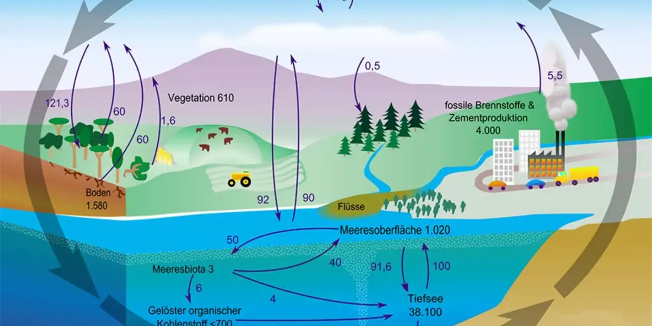 Der Kohlenstoffkreislauf zeigt, wie Kohlensäure zwischen Atmosphäre, Vegetation, Böden, Meeren und fossilen Brennstoffen zirkuliert.