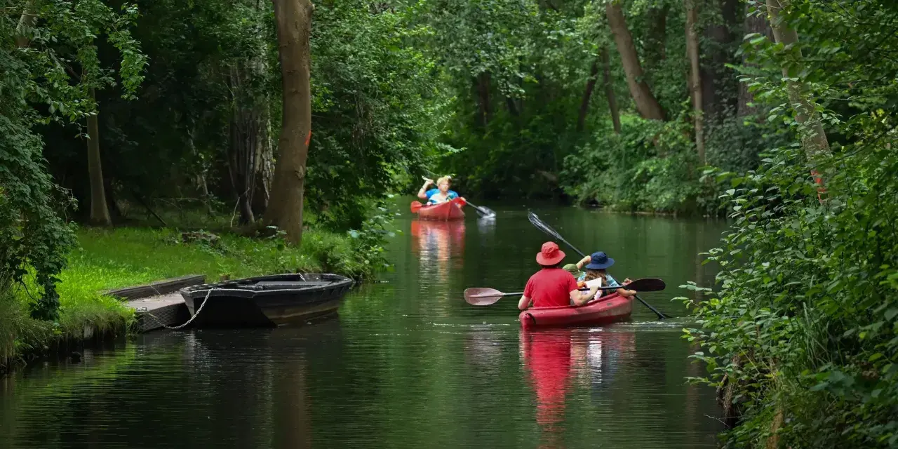Zwei Kanus auf einem Fluss, umgeben von grünen Bäumen.