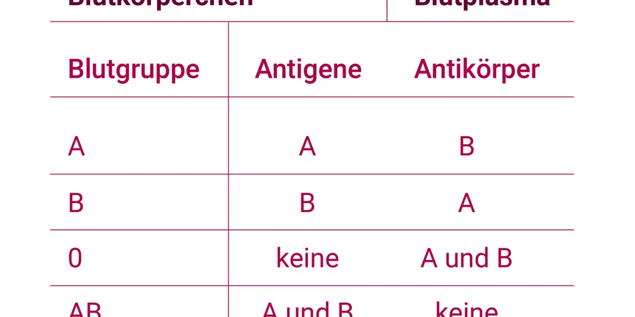 Tabelle zeigt Blutgruppen, Antigene und Antikörper im Blut. Blut ist lebenswichtig.