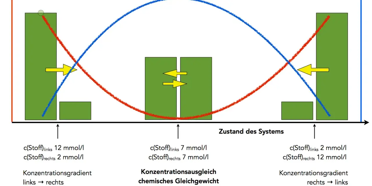 Diagramm zeigt Energie und Entropie bei chemischem Gleichgewicht. Diffusion treibt Konzentrationen an, bis ein Gleichgewicht erreicht ist.