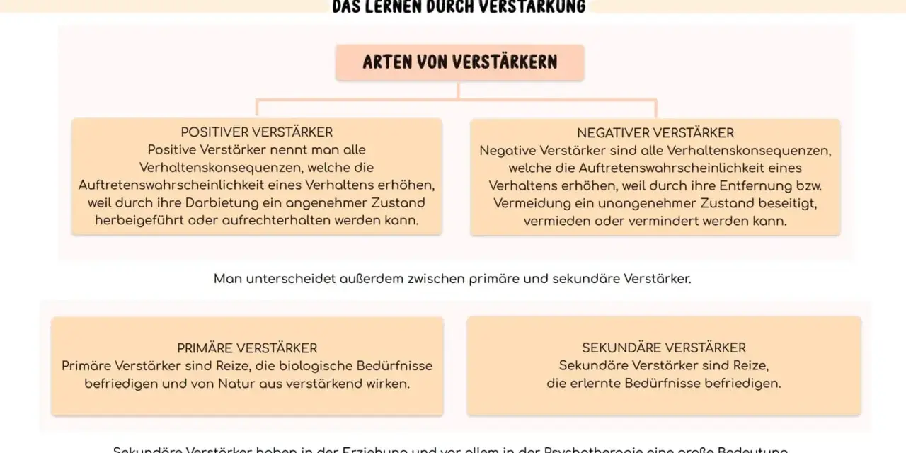 Schema zu operanter Konditionierung: positive/negative Verstärker, primäre/sekundäre Verstärker.