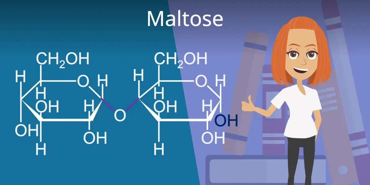 Chemische Struktur von Maltose, einem Disaccharid. Eine lächelnde Frau mit roten Haaren gibt Daumen hoch vor Bücherstapeln.