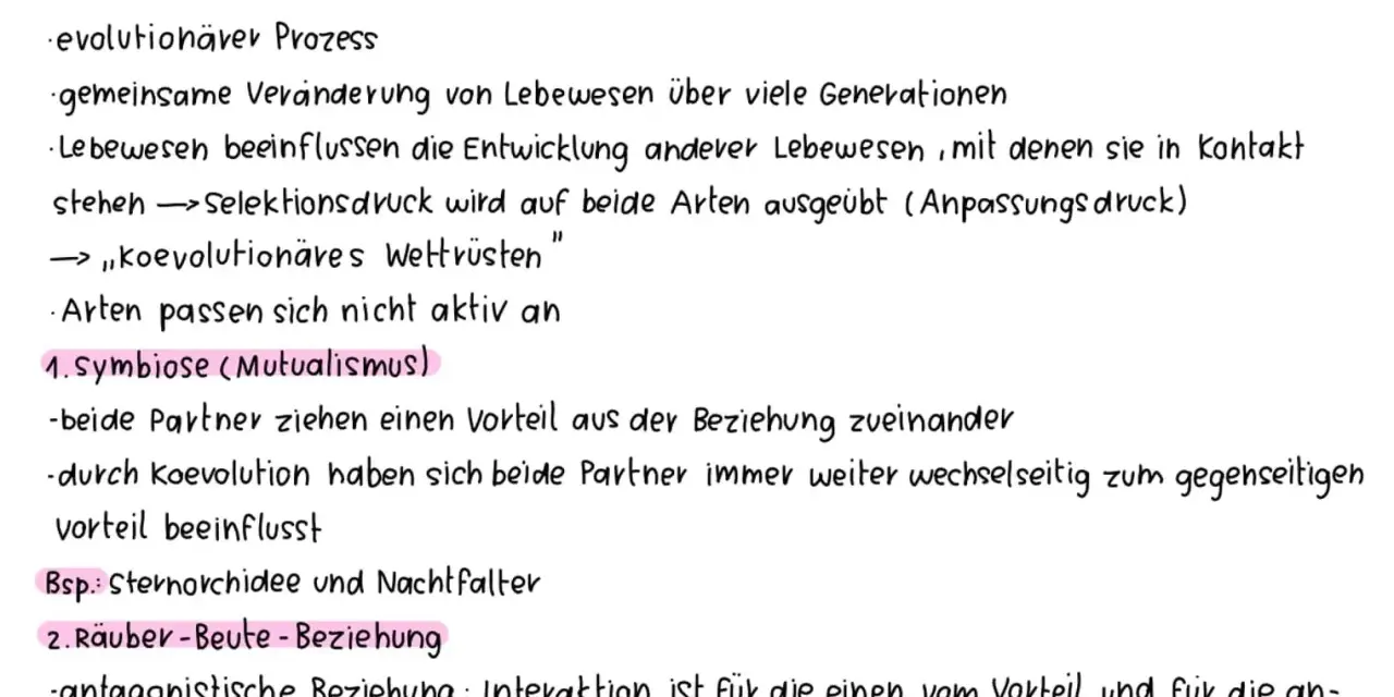 Koevolution: Gemeinsame Entwicklung von Lebewesen, die sich gegenseitig beeinflussen, wie bei der Sternorchidee und dem Nachtfalter.