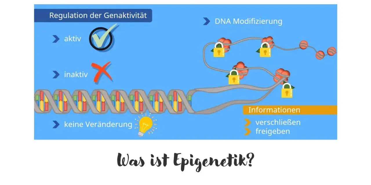 Die Epigenetik erklärt, wie DNA-Modifikationen die Genaktivität regulieren. Schlösser symbolisieren das Verschließen oder Freigeben von Informationen.