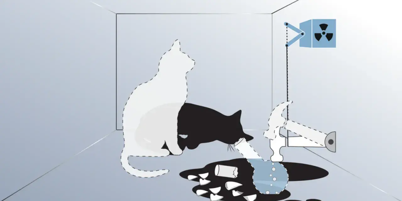 Schrödingers Katze: Ein weißer und ein schwarzer Katzenumriss in einer Box, daneben ein Hammer, ein Behälter mit radioaktivem Symbol und zerbrochenes Glas.