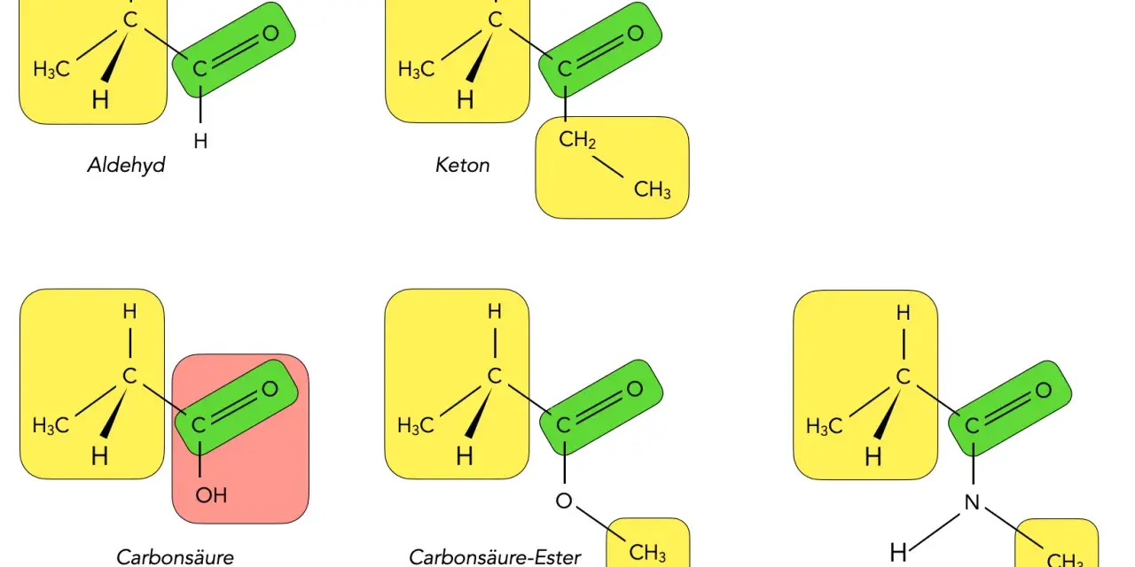 Chemische Strukturen: Aldehyd, Keton, Carbonsäure, Ester und Amid. Die **Carbonylgruppe** ist zentral für diese funktionellen Gruppen.