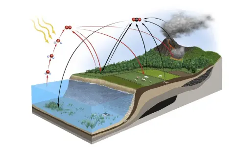 Schematische Darstellung des **Kohlenstoffkreislaufs**: Sonne, Wasser, Pflanzen, Tiere, Vulkan und Kohle zeigen den Austausch von CO2.