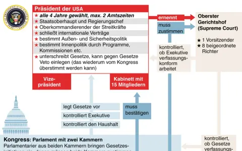 Das politische System der USA: Präsident, Kabinett, Kongress und Oberster Gerichtshof. Die Bundesstaaten USA sind in diesem Schaubild dargestellt.