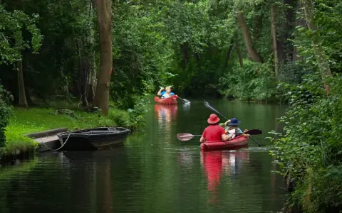 Zwei Kanus auf einem Fluss, umgeben von grünen Bäumen.