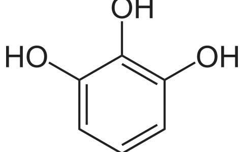 Chemische Struktur von Pyrogallol, einem Derivat des Phenols mit drei Hydroxylgruppen am Benzolring.