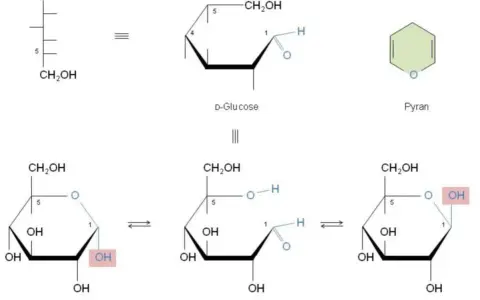 Strukturformeln von Glucose: offenkettige Form, Pyranose-Ring und die Bildung eines Halbacetals in α- und β-Form.