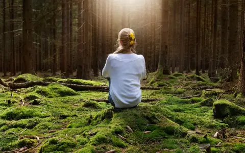 Frau sitzt im Wald auf moosbewachsenem Boden, umgeben von Bäumen. Sonnenstrahlen fallen durch das Blätterdach und erzeugen eine Atmosphäre der Katharsis.