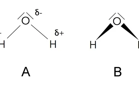 Zwei Wasser-Strukturformeln. A zeigt die polaren Bindungen mit partiellen Ladungen (δ+, δ-). B zeigt die V-förmige Struktur.