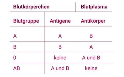 Tabelle zeigt Blutgruppen, Antigene und Antikörper im Blut. Blut ist lebenswichtig.