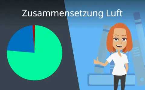 Diagramm zeigt Luftzusammensetzung. Ein großer Teil ist grün, ein kleinerer blau, und ein winziger roter Sektor. Eine Frau mit roten Haaren steht vor Ordnern. Der grüne Teil repräsentiert Stickstoff, der blaue **Sauerstoff**.