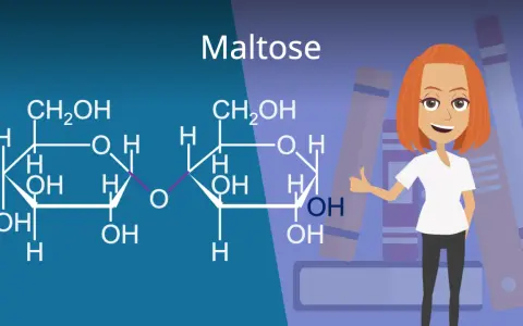 Chemische Struktur von Maltose, einem Disaccharid. Eine lächelnde Frau mit roten Haaren gibt Daumen hoch vor Bücherstapeln.