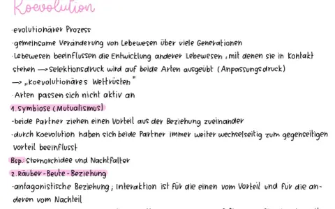 Koevolution: Gemeinsame Entwicklung von Lebewesen, die sich gegenseitig beeinflussen, wie bei der Sternorchidee und dem Nachtfalter.