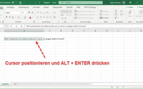 Excel: Zeilenumbruch in Zelle einfügen. Der Cursor wird in der Zelle positioniert, um einen Zeilenumbruch zu erzwingen.