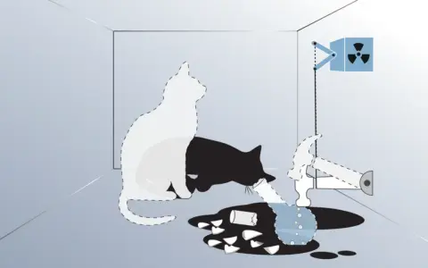 Schrödingers Katze: Ein weißer und ein schwarzer Katzenumriss in einer Box, daneben ein Hammer, ein Behälter mit radioaktivem Symbol und zerbrochenes Glas.