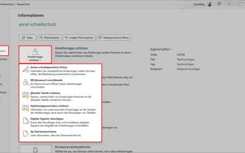 Excel-Schreibschutz aufheben: Optionen zum Schutz von Arbeitsmappen, z.B. "Immer schreibgeschützt öffnen" oder "Mit Kennwort verschlüsseln".