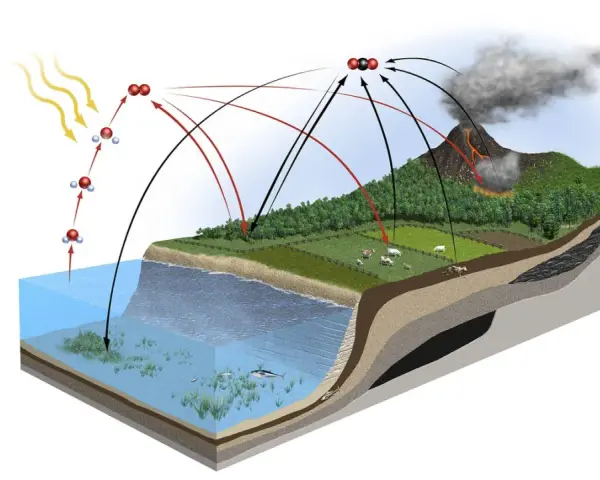 Schematische Darstellung des **Kohlenstoffkreislaufs**: Sonne, Wasser, Pflanzen, Tiere, Vulkan und Kohle zeigen den Austausch von CO2.