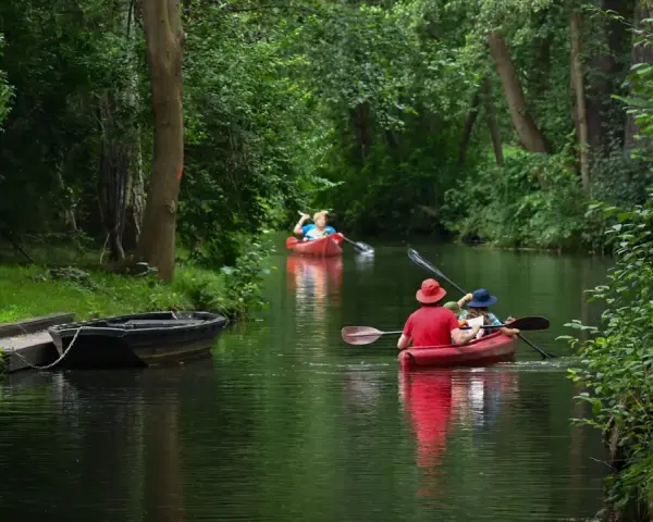 Zwei Kanus auf einem Fluss, umgeben von grünen Bäumen.