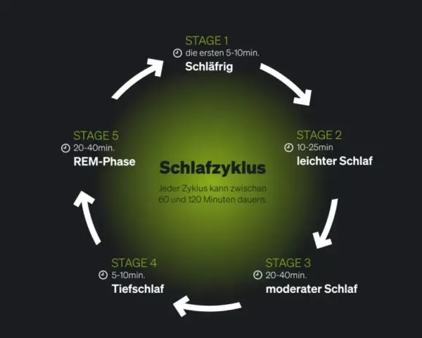 Der Schlafzyklus wird in 5 Stadien unterteilt: schläfrig, leichter Schlaf, moderater Schlaf, Tiefschlaf und REM-Phase. Ein Zyklus dauert 60-120 Minuten.