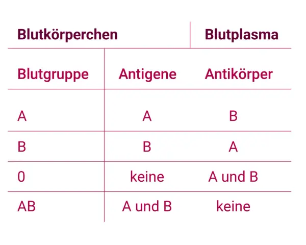 Tabelle zeigt Blutgruppen, Antigene und Antikörper im Blut. Blut ist lebenswichtig.