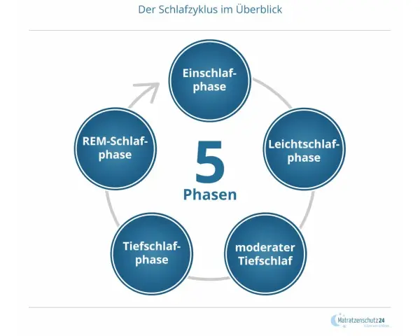 Der Schlafzyklus besteht aus 5 Phasen: Einschlaf-, Leichtschlaf-, Tiefschlaf-, moderater Tiefschlaf- und REM-Schlaf-Phase.