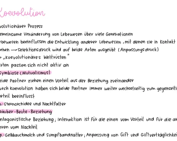Koevolution: Gemeinsame Entwicklung von Lebewesen, die sich gegenseitig beeinflussen, wie bei der Sternorchidee und dem Nachtfalter.