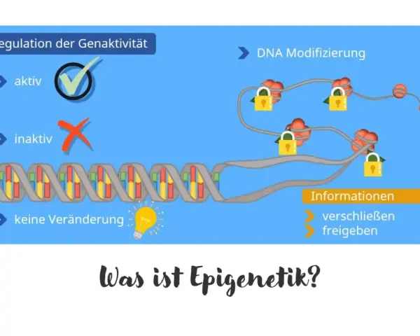 Die Epigenetik erklärt, wie DNA-Modifikationen die Genaktivität regulieren. Schlösser symbolisieren das Verschließen oder Freigeben von Informationen.