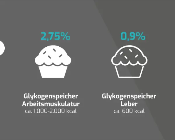 Vergleich von Energiespeichern: Fett (96,3%) und Glykogen in Muskeln (2,75%), Leber (0,9%) und Blut (0,04%).