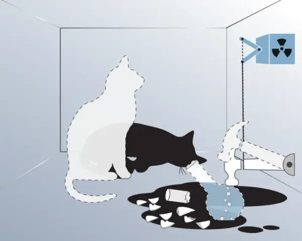 Schrödingers Katze: Ein weißer und ein schwarzer Katzenumriss in einer Box, daneben ein Hammer, ein Behälter mit radioaktivem Symbol und zerbrochenes Glas.