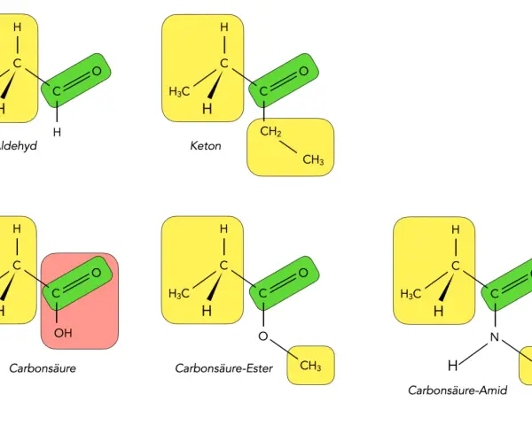Chemische Strukturen: Aldehyd, Keton, Carbonsäure, Ester und Amid. Die **Carbonylgruppe** ist zentral für diese funktionellen Gruppen.