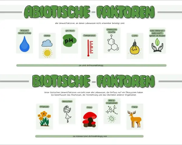 Biotische Faktoren sind Lebewesen wie Pflanzen, Menschen, Pilze, Mikroorganismen und Tiere, die das Ökosystem beeinflussen.