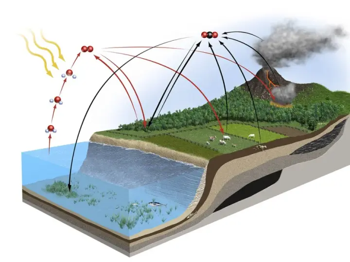 Schematische Darstellung des **Kohlenstoffkreislaufs**: Sonne, Wasser, Pflanzen, Tiere, Vulkan und Kohle zeigen den Austausch von CO2.
