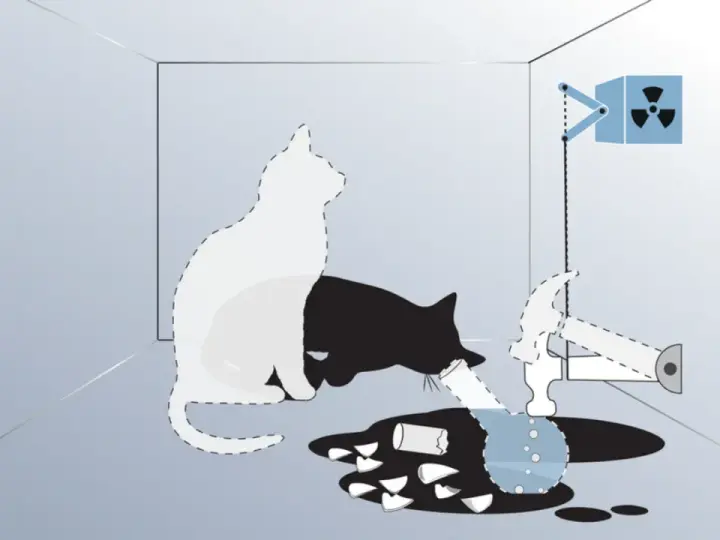 Schrödingers Katze: Ein weißer und ein schwarzer Katzenumriss in einer Box, daneben ein Hammer, ein Behälter mit radioaktivem Symbol und zerbrochenes Glas.