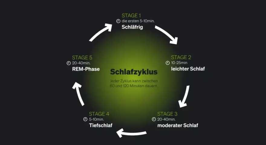 Der Schlafzyklus wird in 5 Stadien unterteilt: schläfrig, leichter Schlaf, moderater Schlaf, Tiefschlaf und REM-Phase. Ein Zyklus dauert 60-120 Minuten.