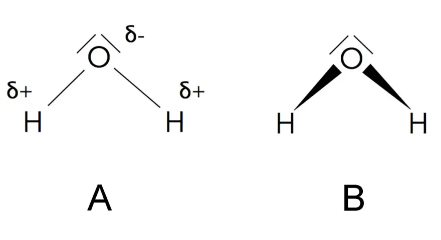 Zwei Wasser-Strukturformeln. A zeigt die polaren Bindungen mit partiellen Ladungen (δ+, δ-). B zeigt die V-förmige Struktur.