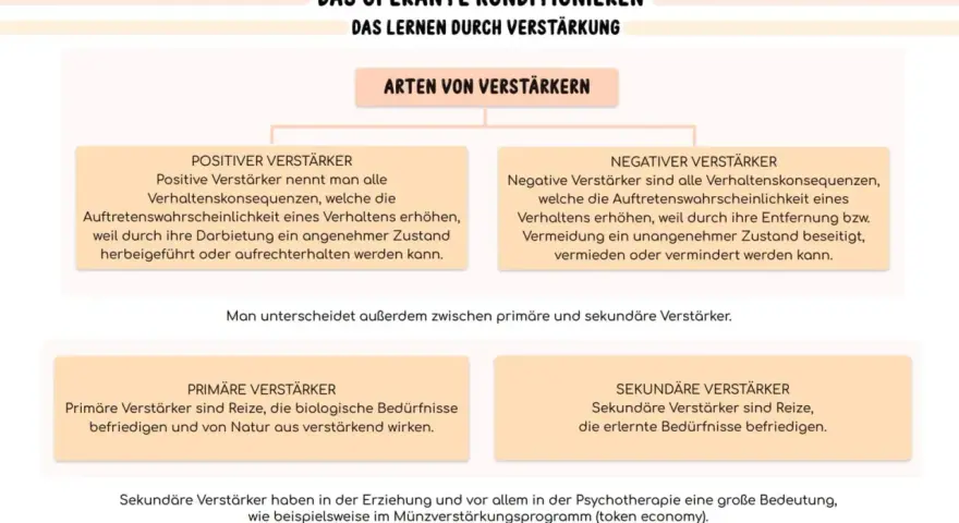 Schema zu operanter Konditionierung: positive/negative Verstärker, primäre/sekundäre Verstärker.