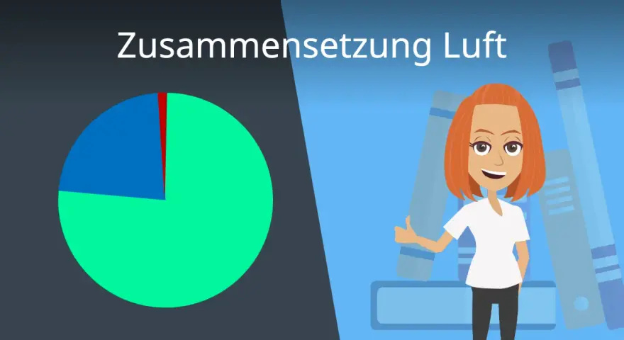 Diagramm zeigt Luftzusammensetzung. Ein großer Teil ist grün, ein kleinerer blau, und ein winziger roter Sektor. Eine Frau mit roten Haaren steht vor Ordnern. Der grüne Teil repräsentiert Stickstoff, der blaue **Sauerstoff**.