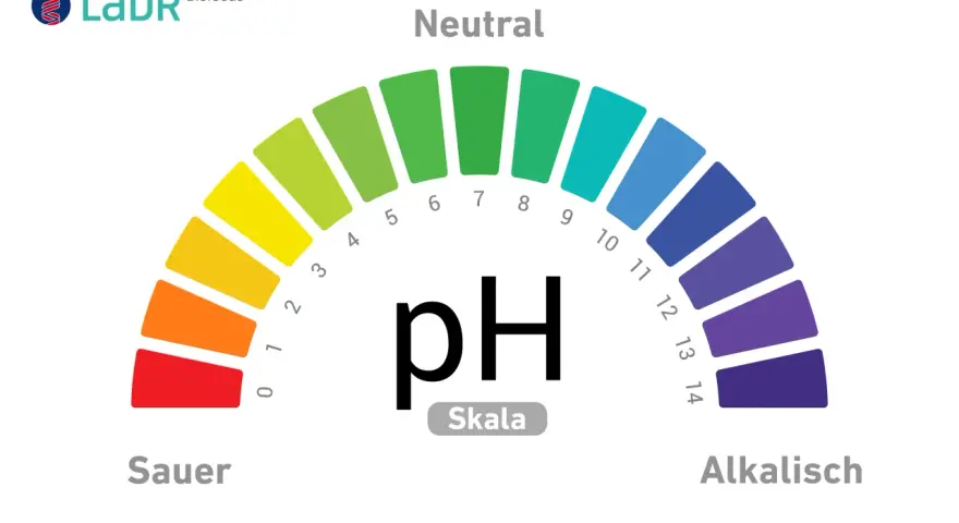 Die pH-Wert Skala zeigt den Bereich von sauer (rot) über neutral (grün) bis alkalisch (blau/violett).