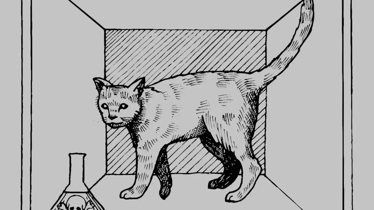 Eine Katze steht neben einem Kolben mit Totenkopf. Das Bild illustriert Schrödingers Katze, ein Gedankenexperiment über Quantenmechanik.